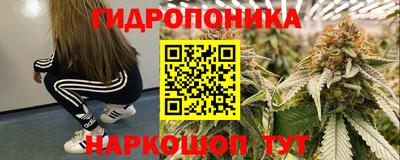 гашик Абинск