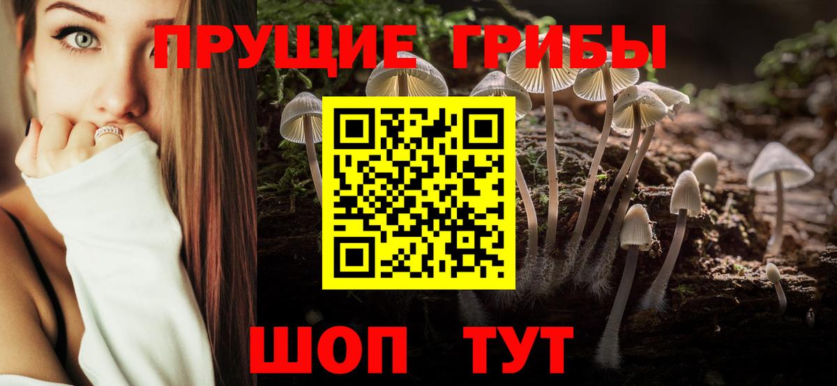 Псилоцибиновые грибы прущие грибы Абинск
