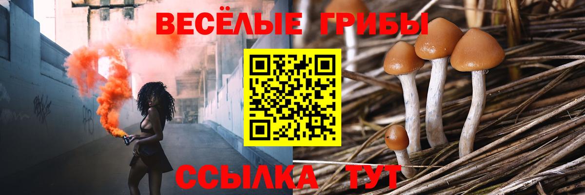 продажа наркотиков  Вход с VPN  Абинск  Псилоцибиновые грибы Magic Shrooms 